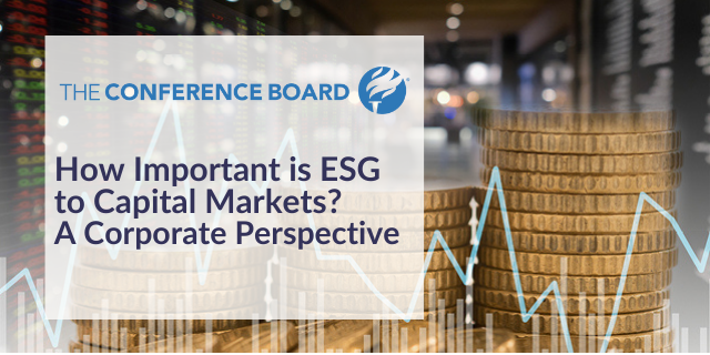 ESG Watch: How Important is ESG to Capital Markets? A Corporate Perspective